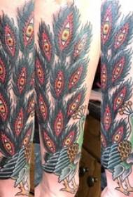 Peacock tattoo male arm on classic peacock tattoo picture