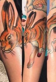 Rabbit tattoo pattern cute tattoo rabbit tattoo pattern on girl arm