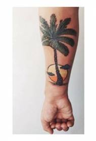 Pojkararmar målade på tatueringbilden för kokosnötträdet i solnedgången