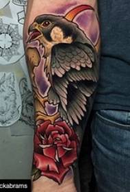 Boys arms painted watercolor sketch domineering eagle animal tattoo pictures