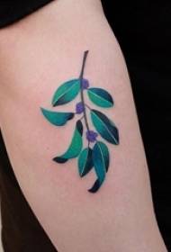 O braço da menina pintou fotos de tatuagem de plantas frescas e bonitas