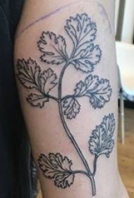 Boys arms on black simple lines small fresh plant leaves tattoo pictures