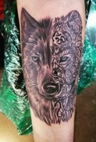 Baile animal tattoo male student arm stitching wolf head tattoo picture