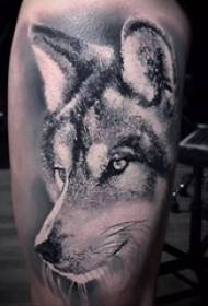tatuaż wilka cielę na wzór tatuażu głowy wilka