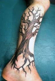 Male leg colored big tree tattoo pattern