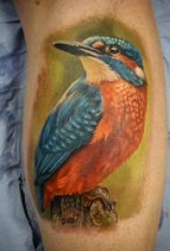 calf symmetrical tattoo male shank on colored bird Tattoo pictures