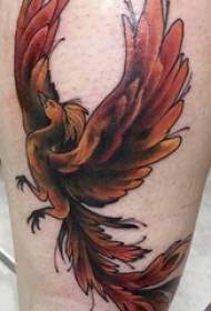 Tattoo Fire Phoenix Boy's calf colored phoenix tattoo picture