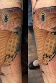 симметриялы татуировкасы бұзау еркек жылан татуировкасы суретте