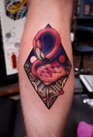 Djemtë tatuazhe kafshësh tatuazh në viçat Diamond dhe fotot tatuazh flamingo
