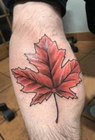 Model de tatuaj de frunze de arțar Vițel băieți pe model de tatuaj de frunze de arțar