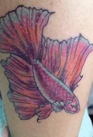 dziewczynki cielę na pomalowanych gradientach proste abstrakcyjne linie zdjęcia małych zwierząt tatuaż ryb