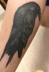 Tattoo Vugel Jongen Kälwer op Vogel Tattoo Biller