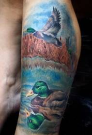 Leg new style colorful duck tattoo pattern