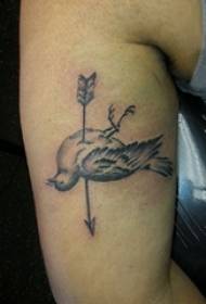 boys calf on black gray point thorn simple line Arrow and bird tattoo pictures