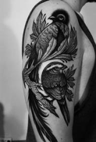 bird tattoo iphethini abafana ithole on bird bird iphethini