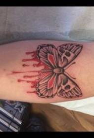 3d leptir tetovaža mužjaka šljokica na obojenoj slici tetovaže leptira