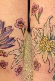 literary flower tattoo girl calf above art flower tattoo color pattern