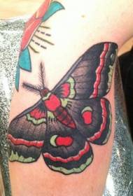 Colorful moth tattoo pictures on the legs