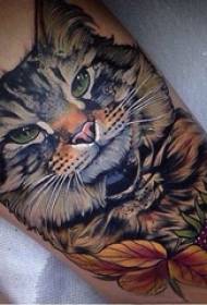 kitten tattoo girl calf on cat tattoo pattern