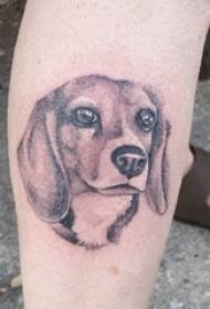 black and white line on the calf with a sting tip animal puppy tattoo picture