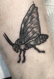 berniukai blauzdos ant juodo pilko eskizo taško erškėčių triukas kūrybingas vabzdžių tatuiruotės paveikslėlis