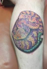European calf tattoo male shank colored snake tattoo picture