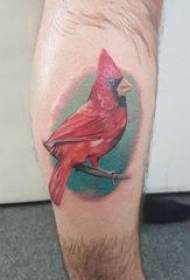 Tattoo ფრინველის მამრობითი shank ფერადი ფრინველის tattoo სურათი