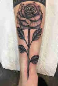 tatuaje de planta caña masculina en imagen de tatuaje de rosa negra