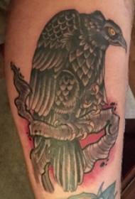 Baile animal tattoo male shank on colored vulture Tattoo pictures