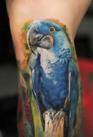 benfärg realistiska och intressanta Parrot tatuering mönster