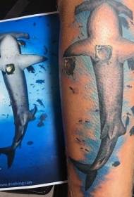 תמונת קעקוע כריש פטיש כריש ריאליסטי בצבע הרגליים