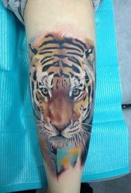 Ноги акварельные реалистичные татуировки тигра