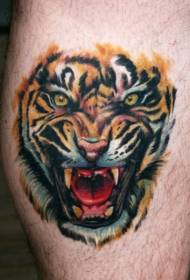 Noha barvy řvoucí tygr tetování vzor