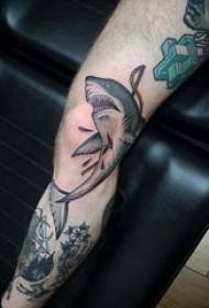 tatuagem de tubarão joelho masculino pintado tatuagem de caveira