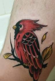 Тату птица-самец на цветной татуировке птицы
