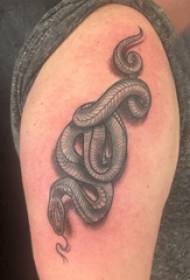 Tupla iso tatuointi uros iso käsivarsi mustalla käärme tatuointi kuva