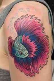 紋身紅魷魚女孩大臂上有色魚紋身圖片