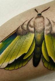 小腿美丽的彩色蝴蝶纹身图案