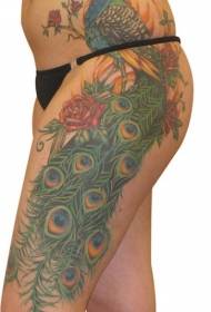 Beautiful large-area peacock color tattoo pattern on side ribs