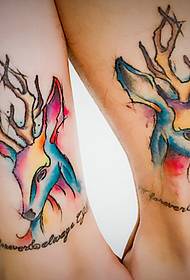 華麗和多彩的鹿頭肖像情侶紋身