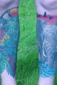 Calf elephant and parrot painted tattoo pattern
