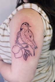 Double arm tattoo girl big arm plant and bird tattoo picture