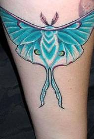 Noga plavi moljac tetovaža uzorak