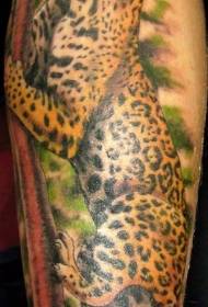 Nice color leopard tattoo pattern on the legs