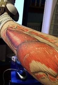 Цвет ноги реалистичный рисунок татуировки мышц