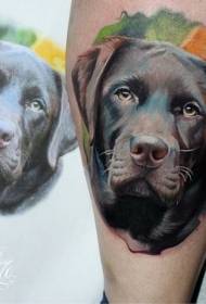 Gaya realistis warna-warni pola tato anjing lucu