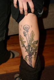 Shank beautiful plant dandelion tattoo pattern