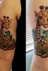 Dvojité tetovanie veľkých ramien mužských rúk na rastlinách a žirafových tetovaní