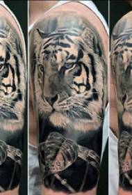 Ilustrație tatuaj braț mare bărbat brat mare pe imagine tatuaj frunze și tigru