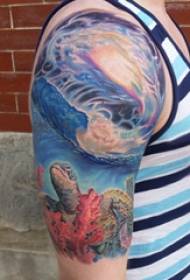 Marine tattoo material, male turtle, colored turtle tattoo picture